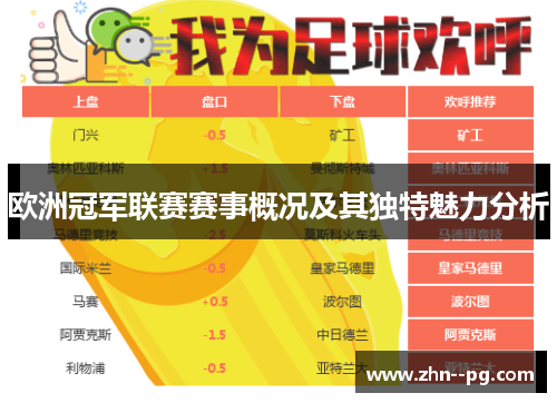 欧洲冠军联赛赛事概况及其独特魅力分析