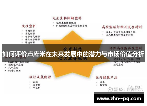 如何评价卢库米在未来发展中的潜力与市场价值分析