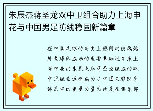 朱辰杰蒋圣龙双中卫组合助力上海申花与中国男足防线稳固新篇章